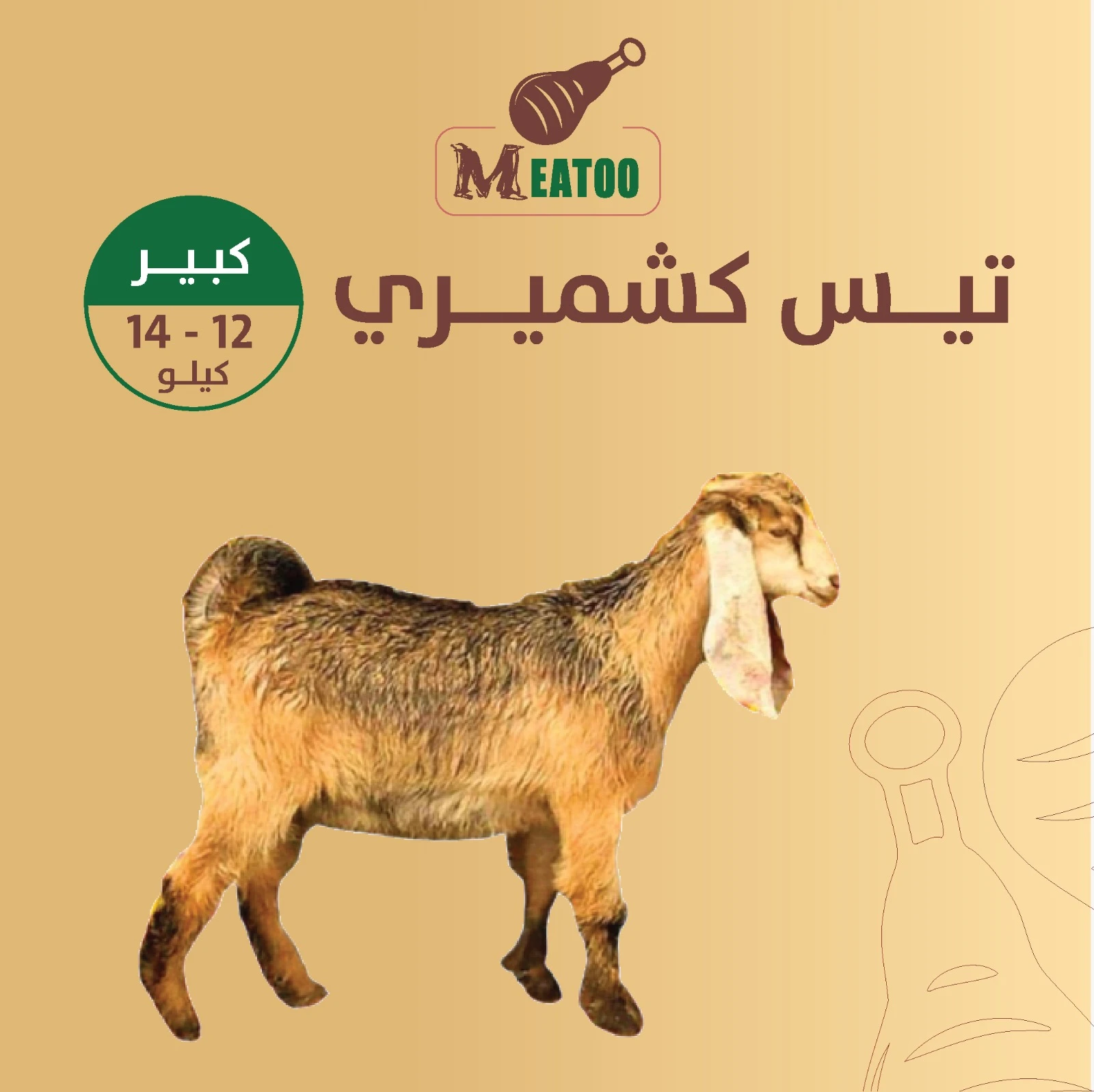 المنتج