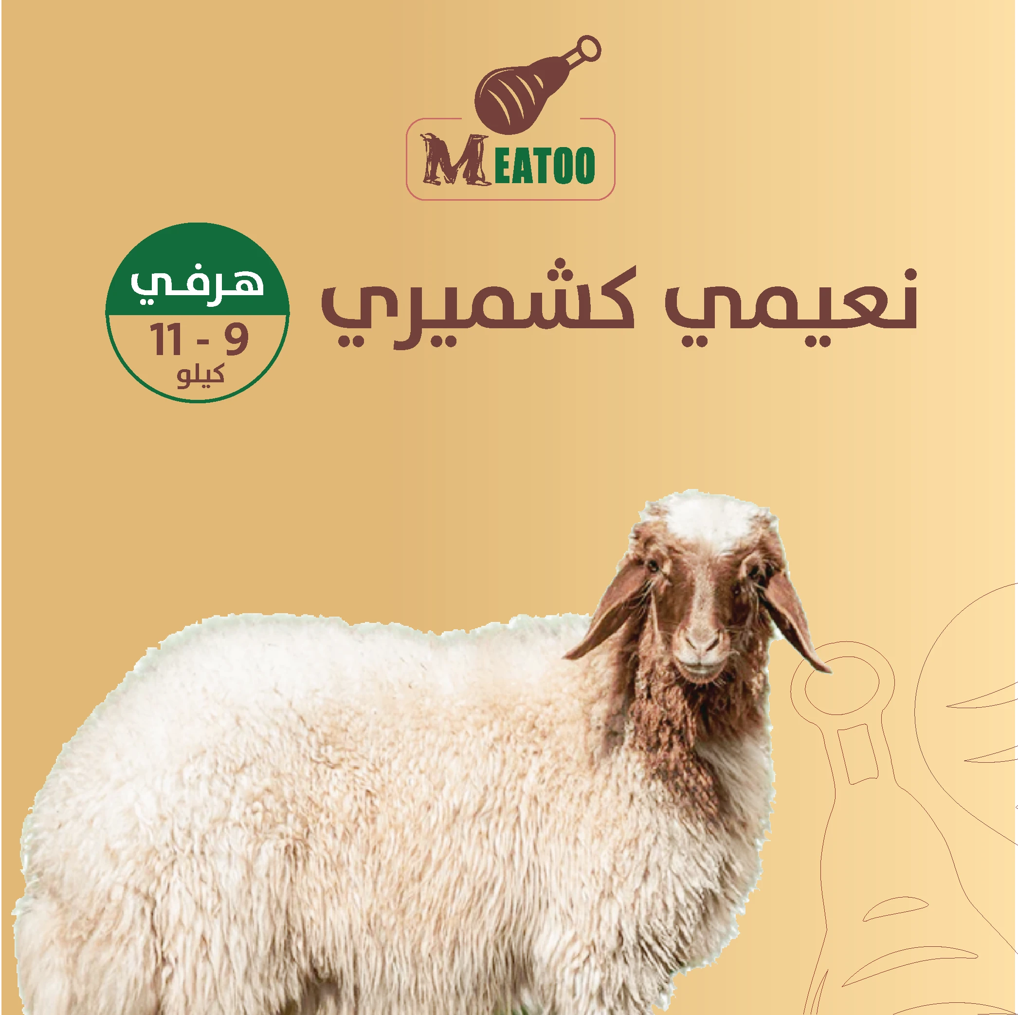 المنتج