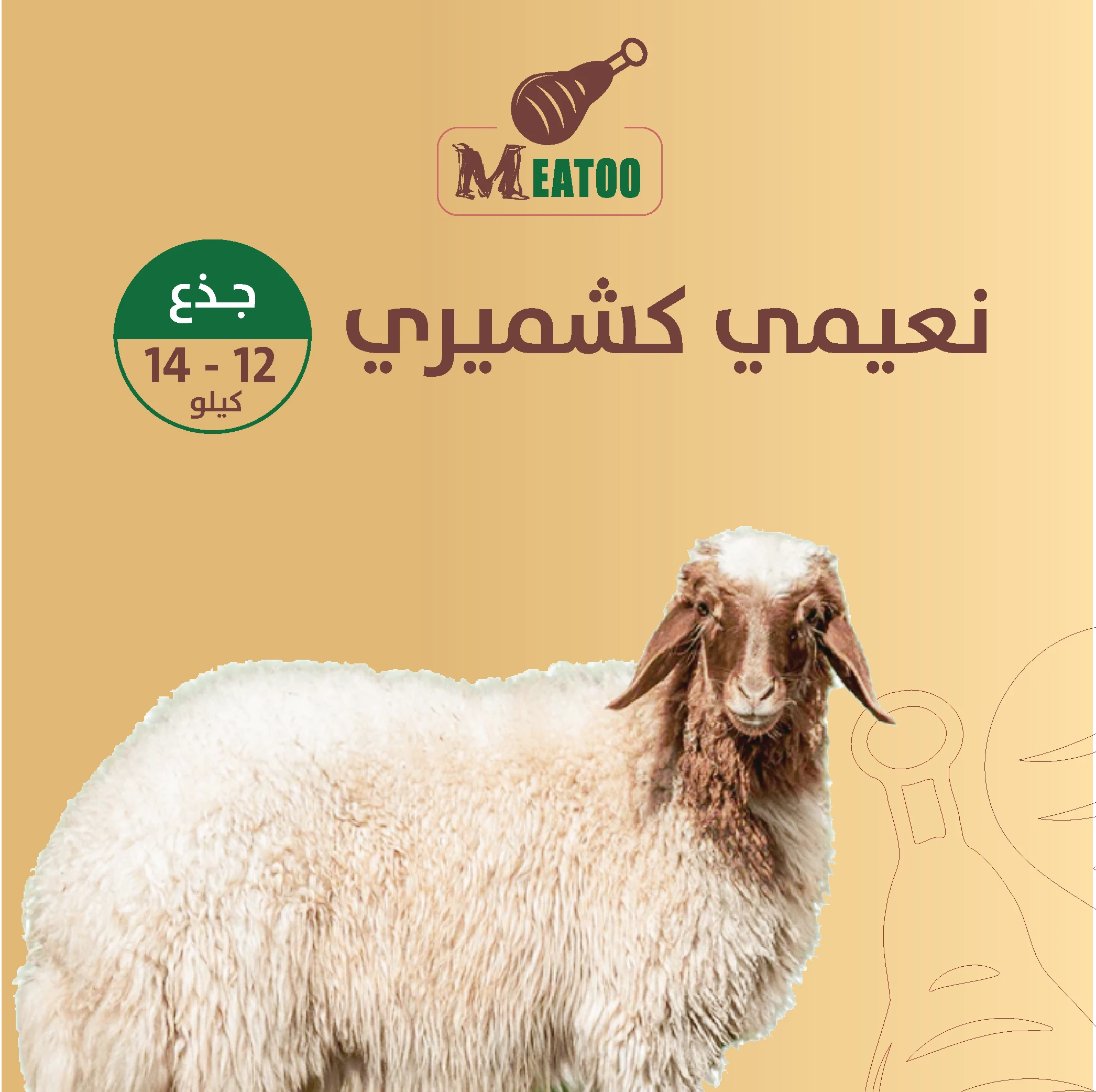 المنتج
