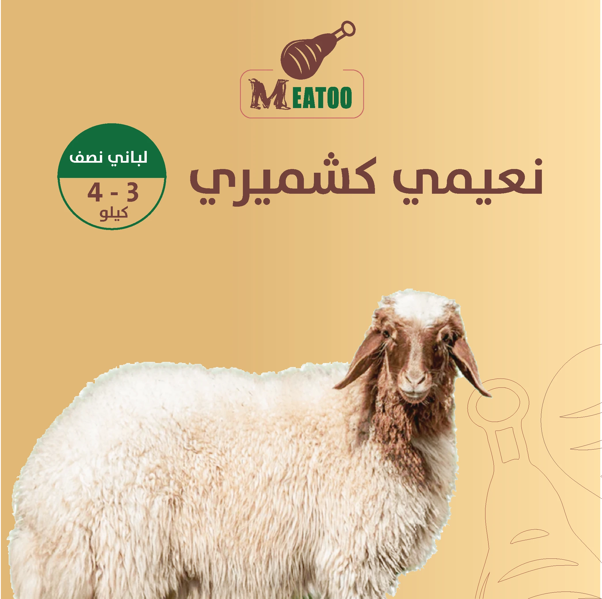 المنتج